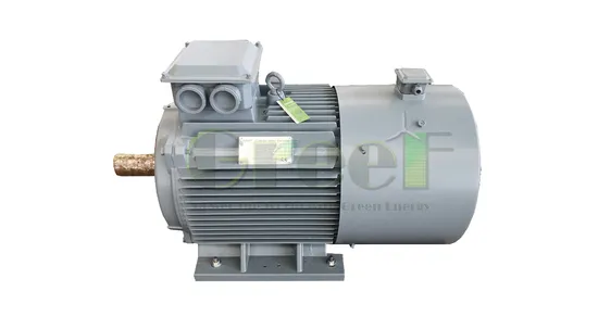 10kw Low Rpm Permanent Magnet Alternator, 220V Free Power From The Permanent Magnet Generator